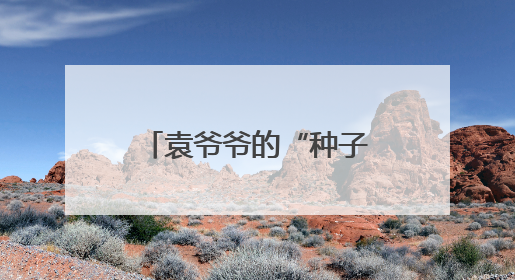 袁爷爷的“种子”在丽水发芽了！四年后，他的禾下乘凉梦这样延续