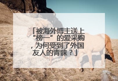 被海外博主送上“榜一”的爱采购，为何受到了外国友人的青睐？