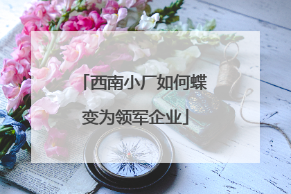 西南小厂如何蝶变为领军企业