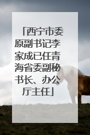 西宁市委原副书记李家成已任青海省委副秘书长、办公厅主任