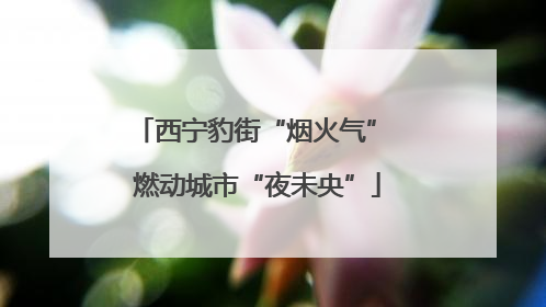 西宁豹街“烟火气” 燃动城市“夜未央”