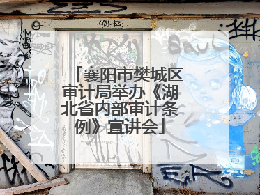 襄阳市樊城区审计局举办《湖北省内部审计条例》宣讲会