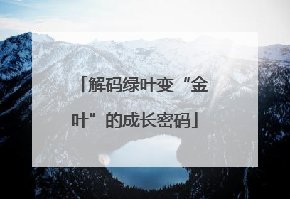解码绿叶变“金叶”的成长密码