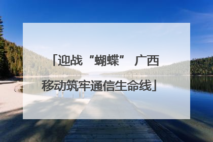 迎战“蝴蝶” 广西移动筑牢通信生命线