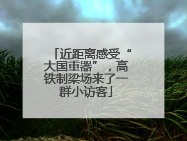 近距离感受“大国重器”，高铁制梁场来了一群小访客