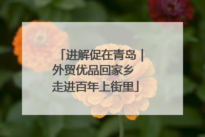 进解促在青岛｜外贸优品回家乡 走进百年上街里