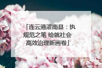 连云港灌南县：执规范之笔 绘就社会高效治理新画卷