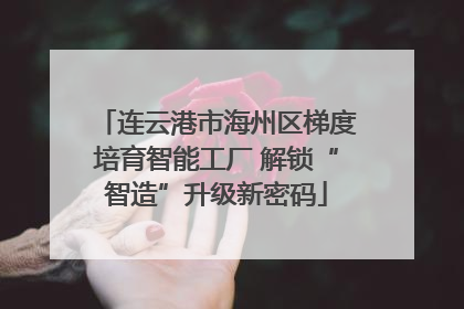 连云港市海州区梯度培育智能工厂 解锁“智造”升级新密码