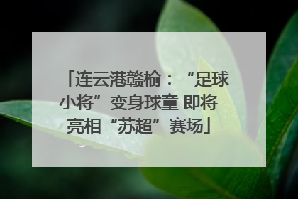连云港赣榆：“足球小将”变身球童 即将亮相“苏超”赛场