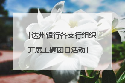 达州银行各支行组织开展主题团日活动