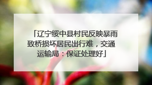 辽宁绥中县村民反映暴雨致桥损坏居民出行难，交通运输局：保证处理好