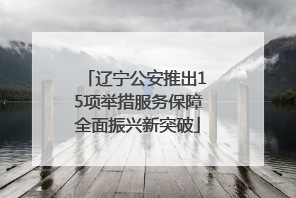 辽宁公安推出15项举措服务保障全面振兴新突破
