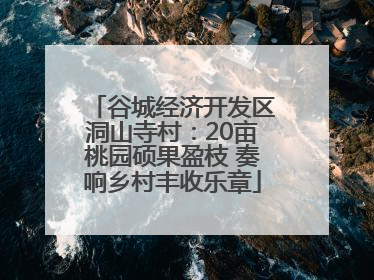谷城经济开发区洞山寺村：20亩桃园硕果盈枝 奏响乡村丰收乐章