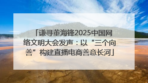 谦寻董海锋2025中国网络文明大会发声：以“三个向善”构建直播电商善意长河