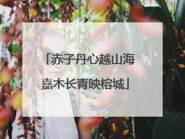 赤子丹心越山海 嘉木长青映榕城