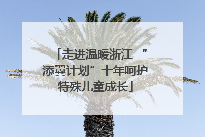 走进温暖浙江 “添翼计划”十年呵护特殊儿童成长
