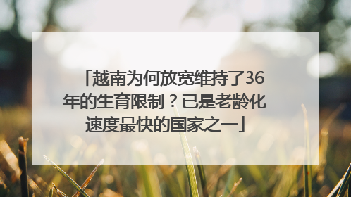 越南为何放宽维持了36年的生育限制？已是老龄化速度最快的国家之一
