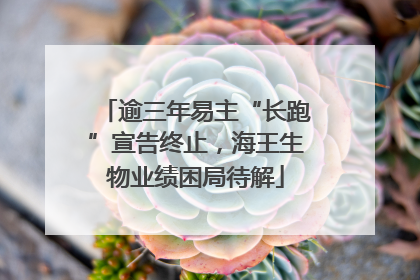 逾三年易主“长跑”宣告终止，海王生物业绩困局待解