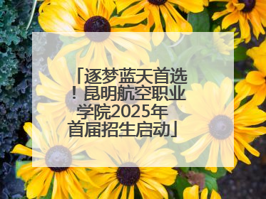 逐梦蓝天首选！昆明航空职业学院2025年首届招生启动