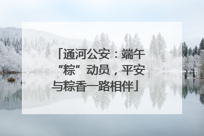 通河公安：端午“粽”动员，平安与粽香一路相伴