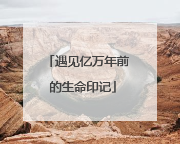 遇见亿万年前的生命印记