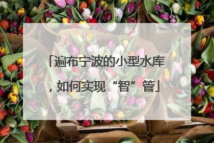 遍布宁波的小型水库，如何实现“智”管