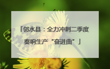 邻水县：全力冲刺二季度 奏响生产“奋进曲”