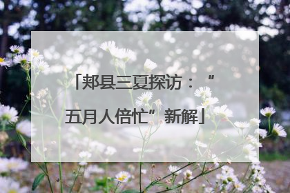 郏县三夏探访：“五月人倍忙”新解