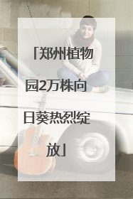 郑州植物园2万株向日葵热烈绽放