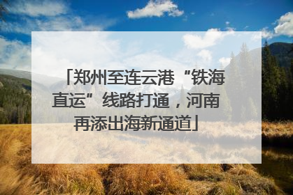 郑州至连云港“铁海直运”线路打通，河南再添出海新通道