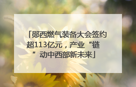 郧西燃气装备大会签约超113亿元，产业“链”动中西部新未来