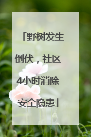 野树发生倒伏，社区4小时消除安全隐患