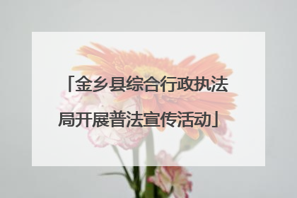 金乡县综合行政执法局开展普法宣传活动