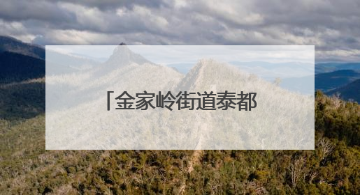 金家岭街道泰都社区、青岛大学“科普创意活动基地”正式揭牌