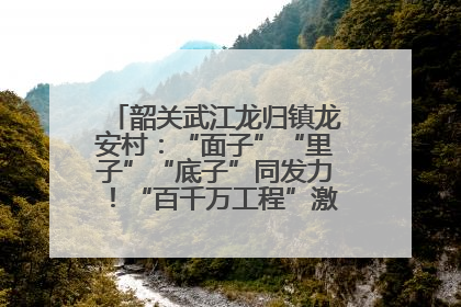 韶关武江龙归镇龙安村：“面子”“里子”“底子”同发力！“百千万工程”激活乡村新动能