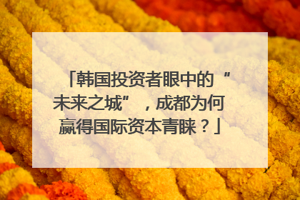 韩国投资者眼中的“未来之城”，成都为何赢得国际资本青睐？