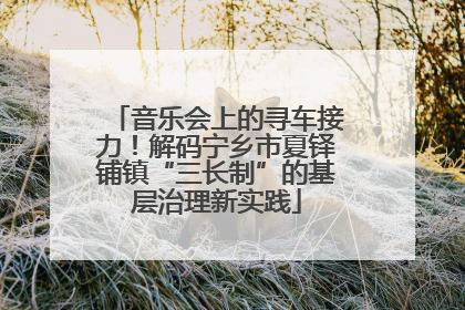 音乐会上的寻车接力！解码宁乡市夏铎铺镇“三长制”的基层治理新实践