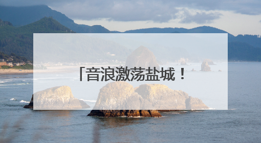 音浪激荡盐城！盐城大洋湾音乐节吸引5.4万乐迷共赴狂欢