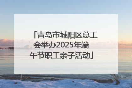 青岛市城阳区总工会举办2025年端午节职工亲子活动