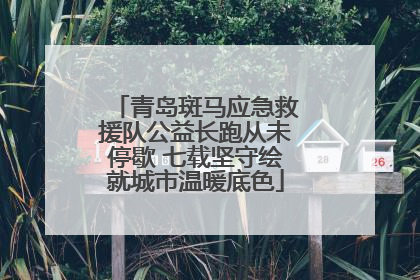 青岛斑马应急救援队公益长跑从未停歇 七载坚守绘就城市温暖底色