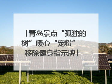青岛景点“孤独的树”暖心“宠粉” 移除健身指示牌