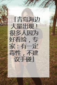 青岛海边大量出现！很多人因为好看捡，专家：有一定毒性，不建议手碰