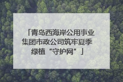 青岛西海岸公用事业集团市政公司筑牢夏季绿植“守护网”