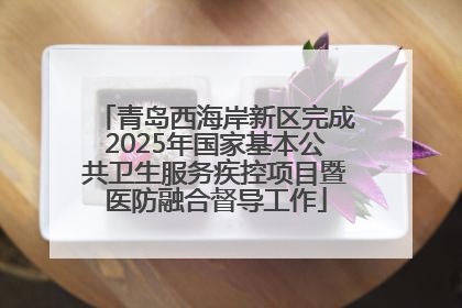 青岛西海岸新区完成2025年国家基本公共卫生服务疾控项目暨医防融合督导工作