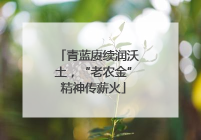 青蓝赓续润沃土，“老农金”精神传薪火