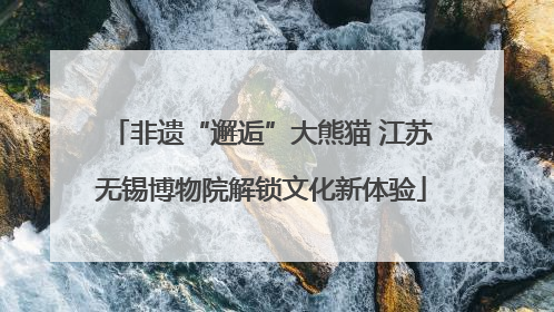 非遗“邂逅”大熊猫 江苏无锡博物院解锁文化新体验