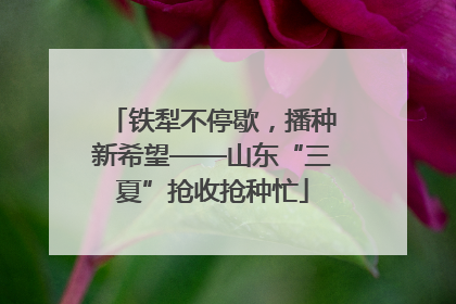 铁犁不停歇，播种新希望——山东“三夏”抢收抢种忙