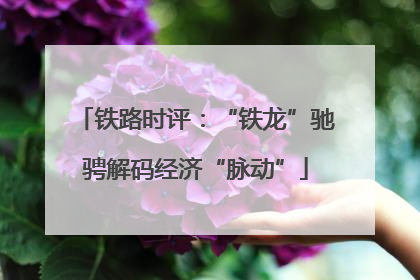 铁路时评：“铁龙”驰骋解码经济“脉动”