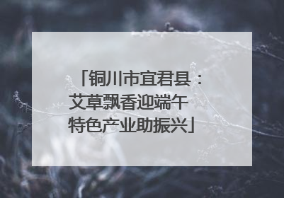 铜川市宜君县：艾草飘香迎端午 特色产业助振兴