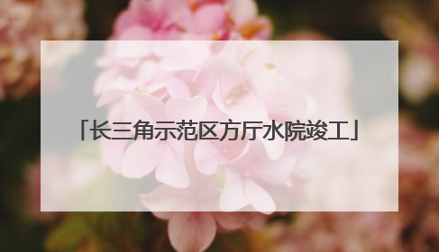 长三角示范区方厅水院竣工